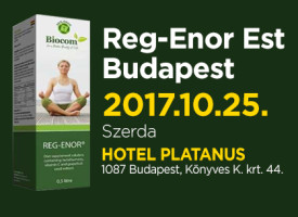 REG-ENOR EST BUDAPESTEN, OKTÓBERBEN