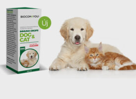 Immuno-Drops Dog & Cat: egyedi, hiánypótló termék házi kedvenceink számára!